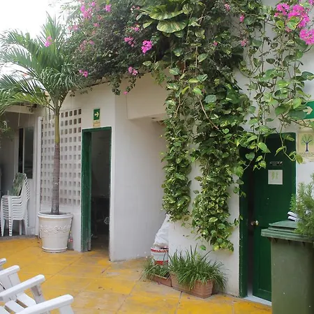 Green House San Diego Hostal
