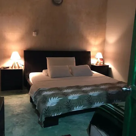 Green House San Diego Hostal *