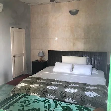 Green House San Diego Hostal *