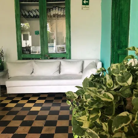 Green House San Diego Hostal