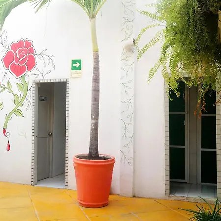 Hostal Green House San Diego