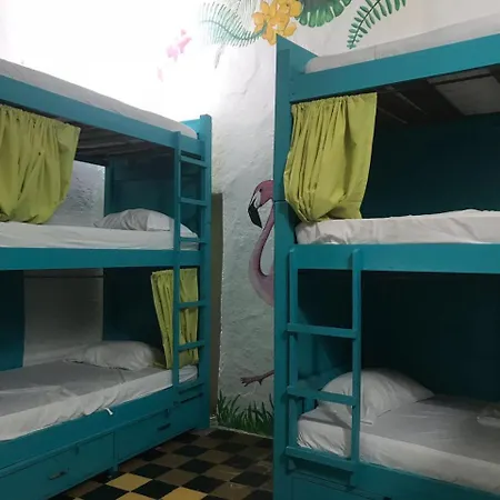 Green House San Diego Hostal