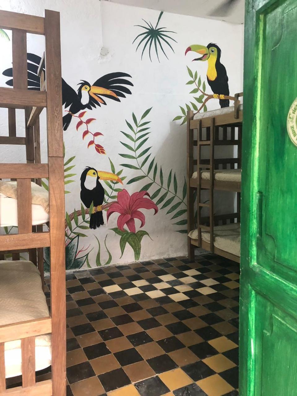 Green House San Diego Hostal *