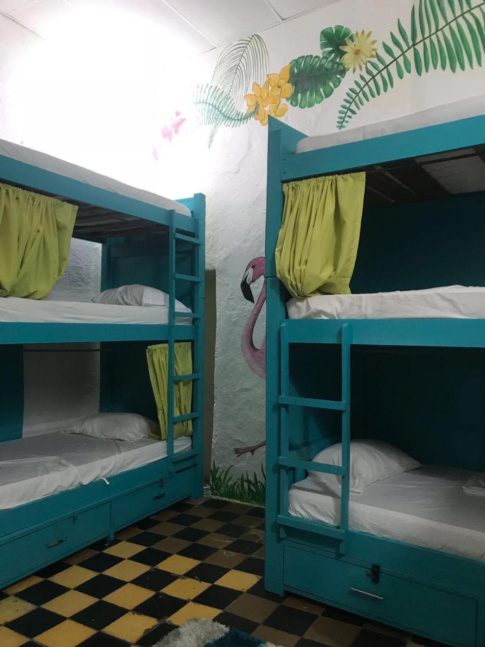 Green House San Diego Hostal